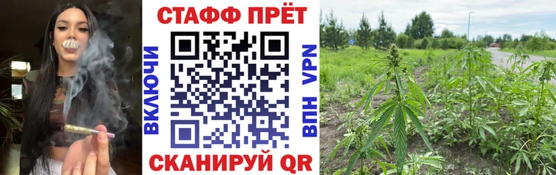 Купить наркотик аптеки Нижнекамск Кокаин  СК  ГАШ  МЕФ 